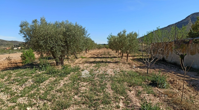 Murcia - Abanilla - 2000m2