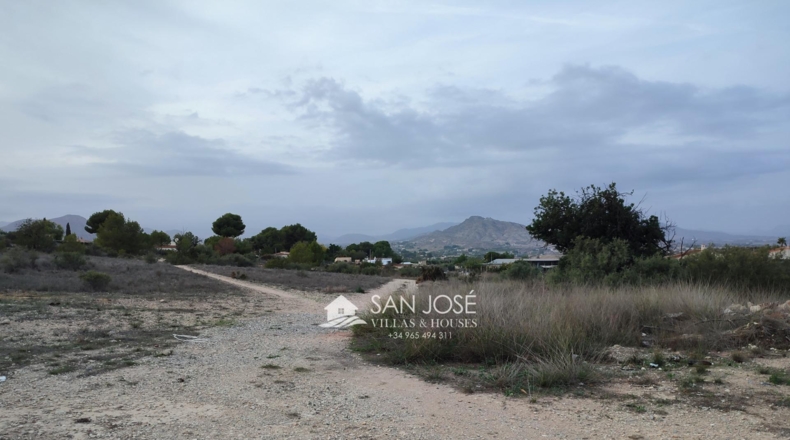 Alicante - Aspe - 13896m2