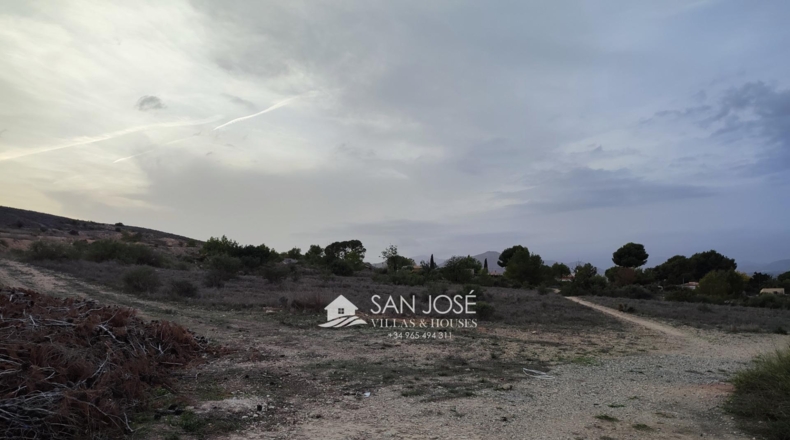 Alicante - Aspe - 13896m2