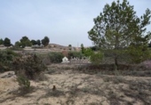 Terreno no urbanizable en venta en la España, Aspe, ref: TR394315 foto