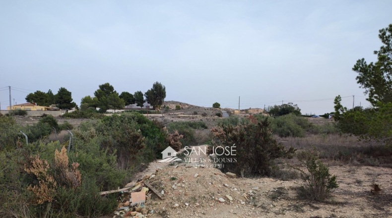 Alicante - Aspe - 13896m2