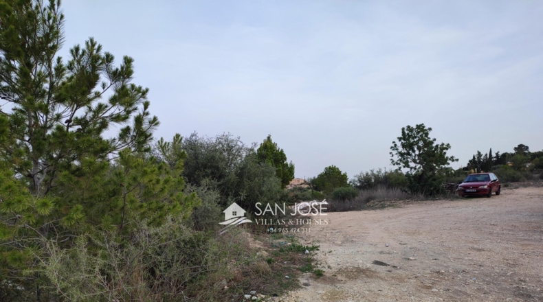 Alicante - Aspe - 13896m2