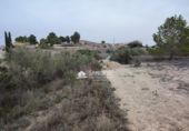 Terreno no urbanizable en venta en la España, Aspe, ref: TR394315 foto
