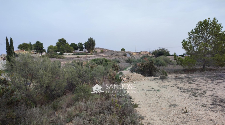 Alicante - Aspe - 13896m2