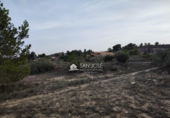 Terreno no urbanizable en venta en la España, Aspe, ref: TR394315 foto