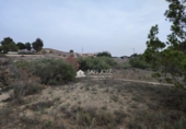 Terreno no urbanizable en venta en la España, Aspe, ref: TR394315 foto