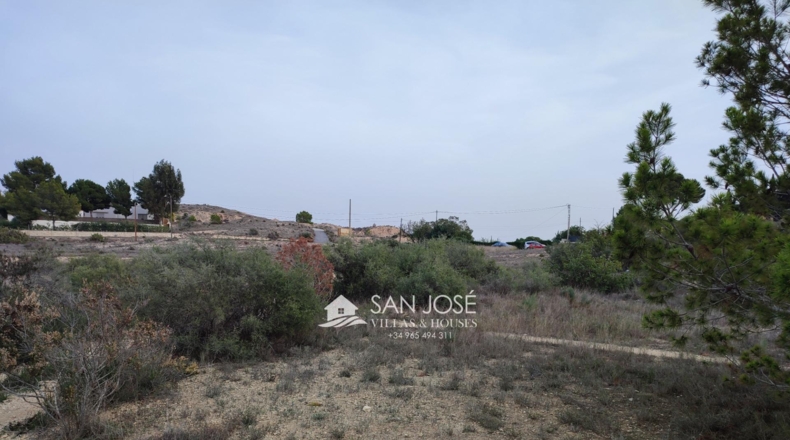 Alicante - Aspe - 13896m2