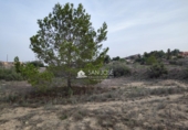 Terreno no urbanizable en venta en la España, Aspe, ref: TR394315 foto