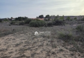 Terreno no urbanizable en venta en la España, Aspe, ref: TR394315 foto