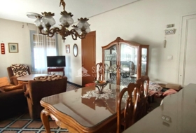 Novelda 590&nbsp;m²