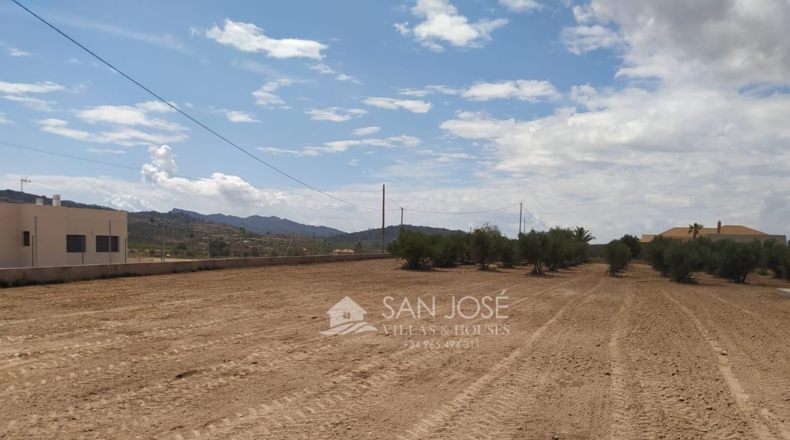 Murcia - Abanilla - 5000m2