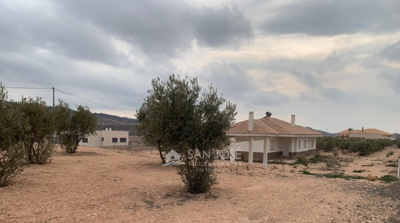 Murcia - Abanilla - 5000m2