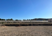 Non-developable land for sale on España, Aspe, ref: TR394311 photo