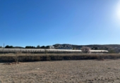 Non-developable land for sale on España, Aspe, ref: TR394311 photo