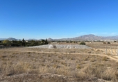 Non-developable land for sale on España, Aspe, ref: TR394311 photo