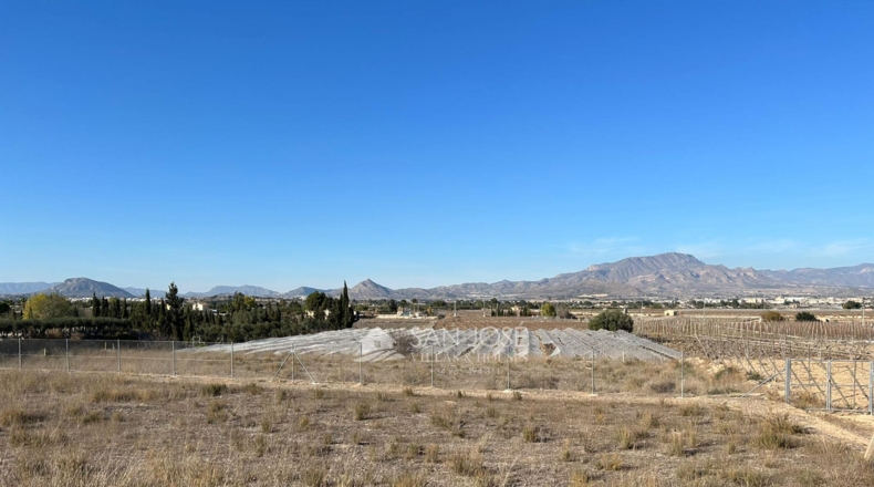Alicante - Aspe - 12091m2