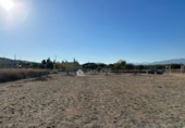 Non-developable land for sale on España, Aspe, ref: TR394311 photo