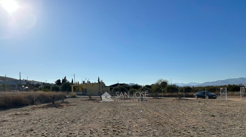 Alicante - Aspe - 12091m2