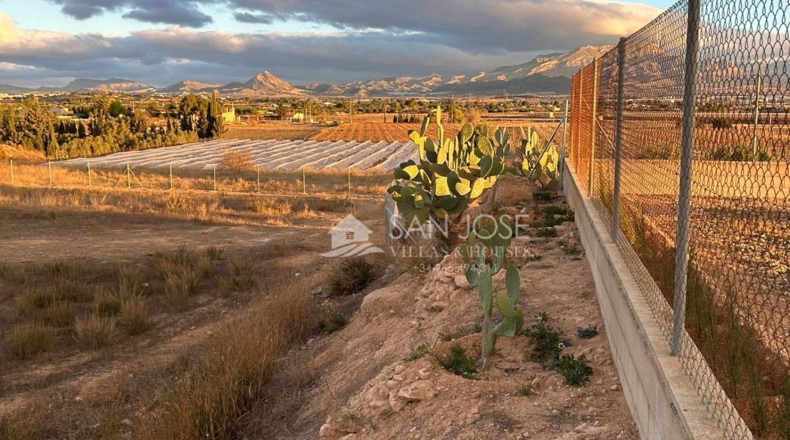 Alicante - Aspe - 12091m2