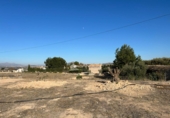 Non-developable land for sale on España, Aspe, ref: TR394311 photo