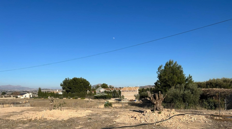Alicante - Aspe - 12091m2