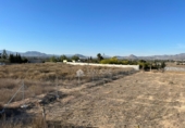 Non-developable land for sale on España, Aspe, ref: TR394311 photo