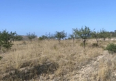 Terreno no urbanizable en venta en la España, La Romana, ref: TR394310 foto