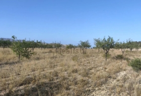 la Romana 6390&nbsp;m² 
