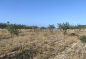 Terreno no urbanizable en venta en la España, La Romana, ref: TR394310 foto