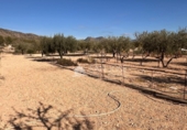 Chalet independiente con terreno en venta en la España, Monóvar, ref: TR394389 foto