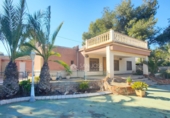 Chalet independiente con terreno en venta en la España, Aspe, ref: TR394376 foto