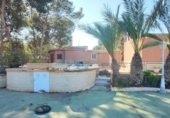 Chalet independiente con terreno en venta en la España, Aspe, ref: TR394376 foto