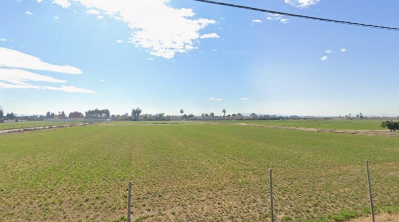 Alicante - Catral - 10000m2