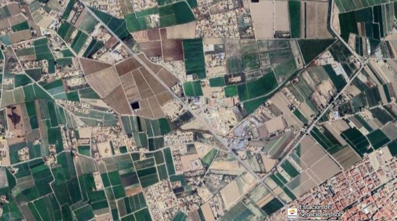 Alicante - Catral - 10000m2