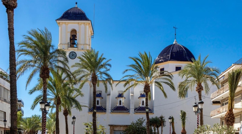 Alicante - Catral - 10000m2