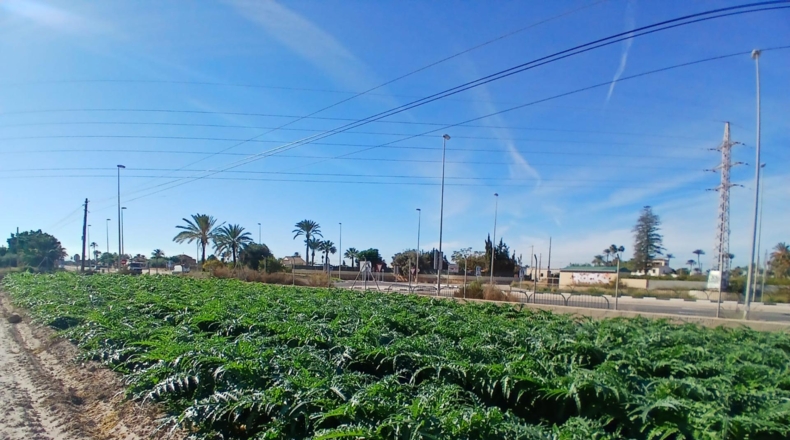 Alicante - Elche - 21.276m2