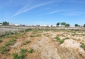 Terreno no urbanizable en venta en la España, San Fulgencio, ref: TR394306 foto