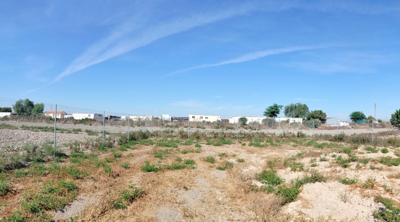 Alicante - San Fulgencio - 2182.98m2