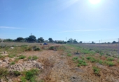 Terreno no urbanizable en venta en la España, San Fulgencio, ref: TR394306 foto
