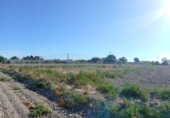 Terreno no urbanizable en venta en la España, San Fulgencio, ref: TR394306 foto