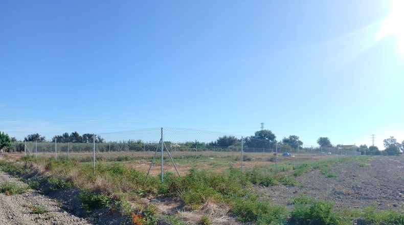 Alicante - San Fulgencio - 2182.98m2
