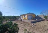 Casa de camp amb terreny en venda a la España, Daia Vella, ref.: TR394361 foto