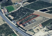 Casa de camp amb terreny en venda a la España, Daia Vella, ref.: TR394361 foto