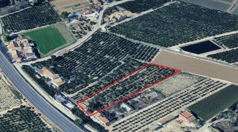 Alicante - Daya Vieja - 4352m2