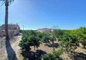 Casa de camp amb terreny en venda a la España, Daia Vella, ref.: TR394361 foto