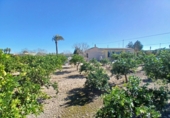 Casa de camp amb terreny en venda a la España, Daia Vella, ref.: TR394361 foto