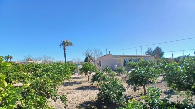 Alicante - Daya Vieja - 4352m2
