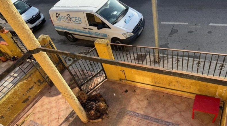 Alicante - Dolores - 143m2