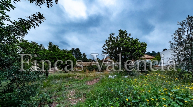 València - Torres Torres - 734.98m2
