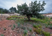 Suelo urbano en venta en la España, Torres Torres, ref: TR394305 foto